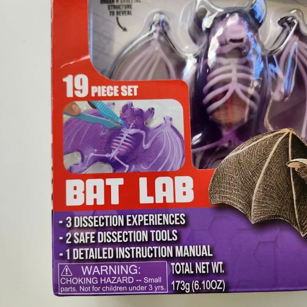 NEW Dissect-it Synthetic Lab Dissection Toy STEM KIT CRAFT Project Bat Biology A